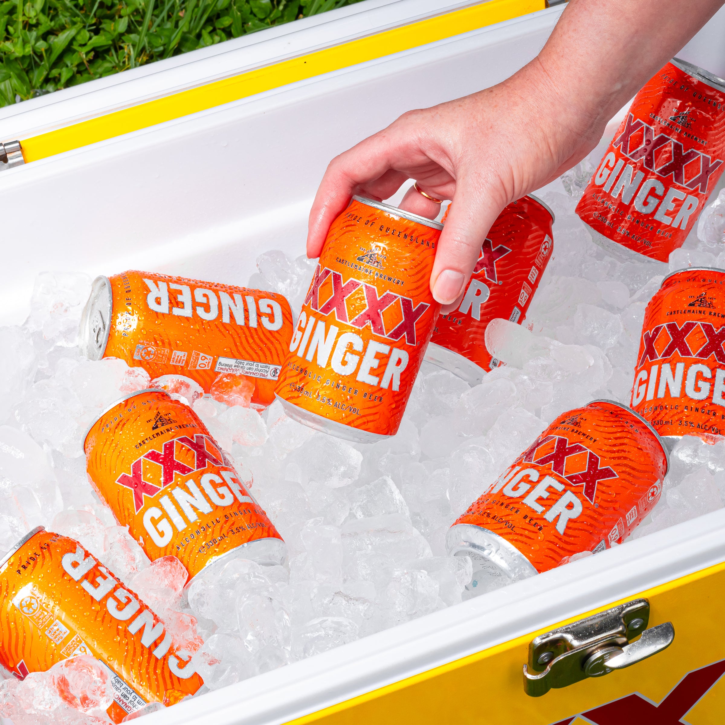 XXXX Ginger Alcoholic Ginger Beer Can 330mL - Harry's Liquor